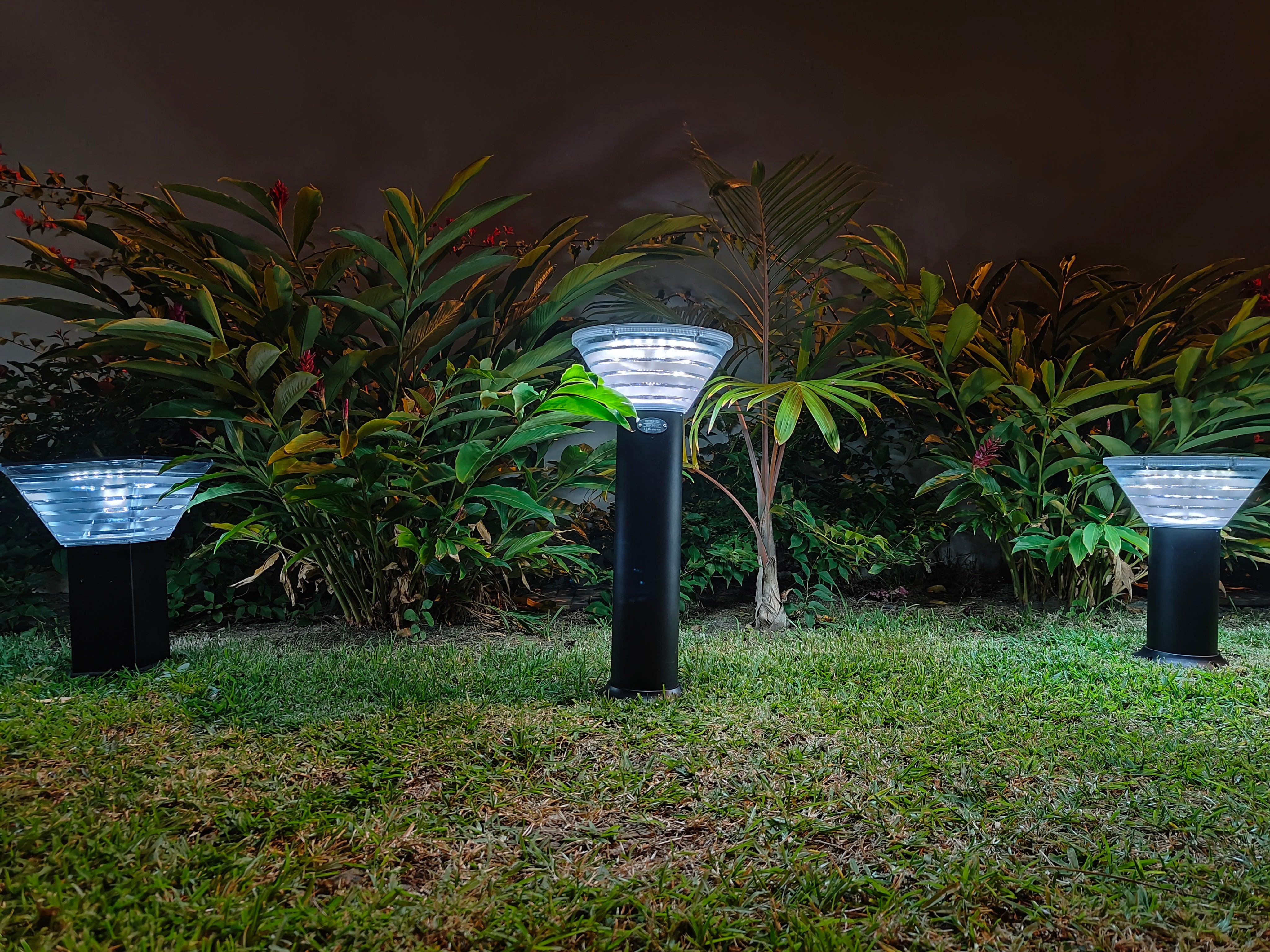 Solar LED Lights