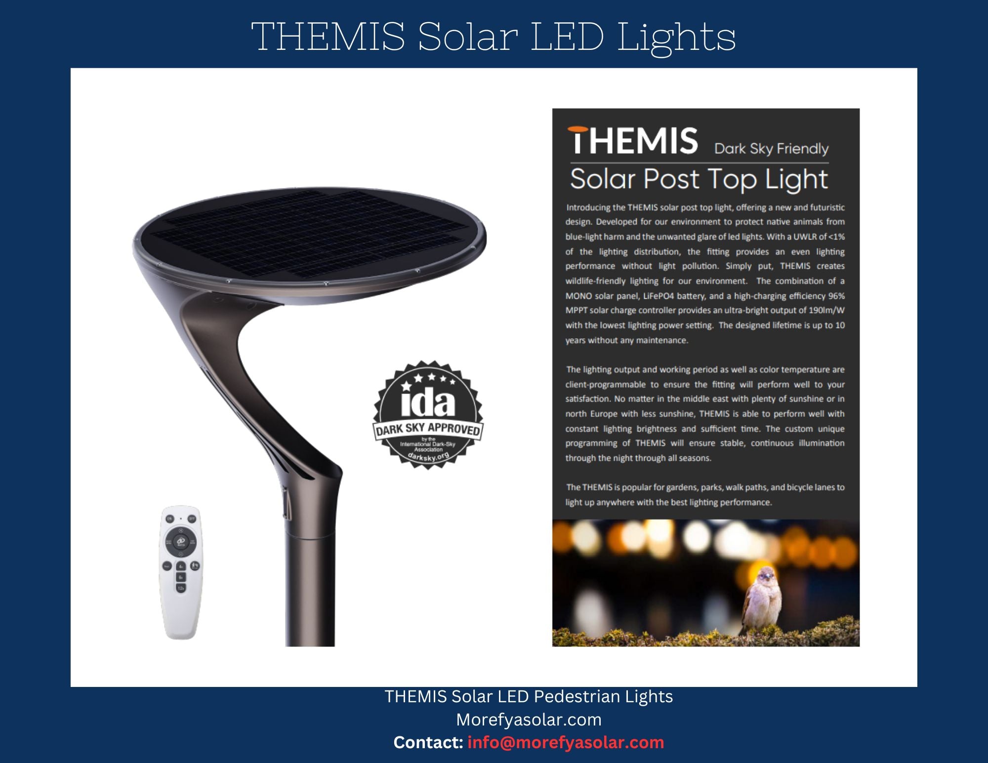 The Nature Collection: THEMIS Solar LED Lights